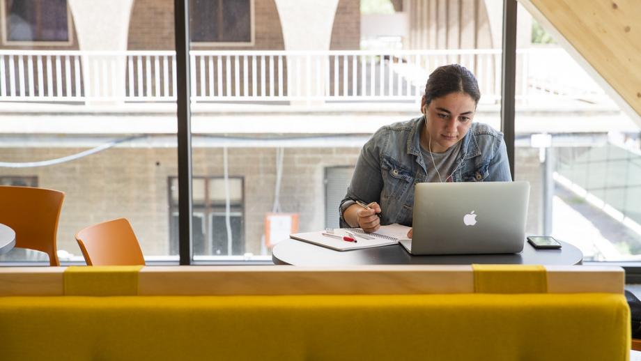 Photo of student sitting at a desk studying