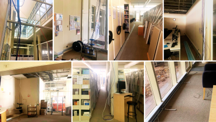 Photographs from May 2024 of the inside of the Art & Music Library construction zone - with lots of exposed wire, open ceiling tiles, tarps over collections, etc.