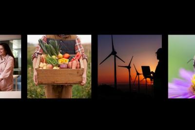 image of a female student with a robot, a person holding a box of vegetables, a person standing in the foreground and wind turbines in the background and an image of a bee hovering above a flower